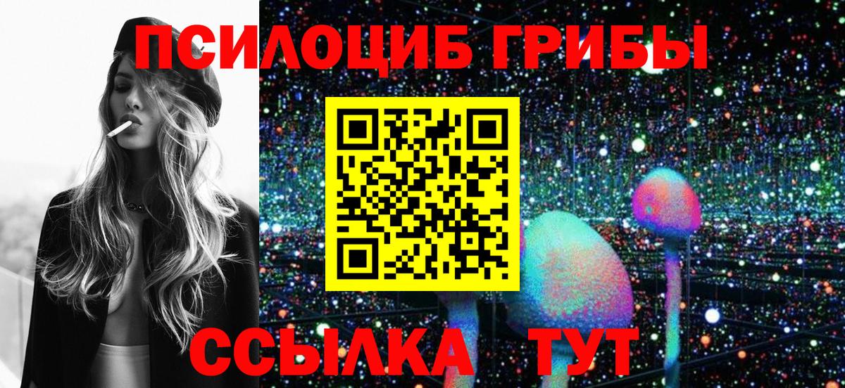 купить закладку  Псилоцибиновые грибы мухоморы  Вход с VPN  Тара 