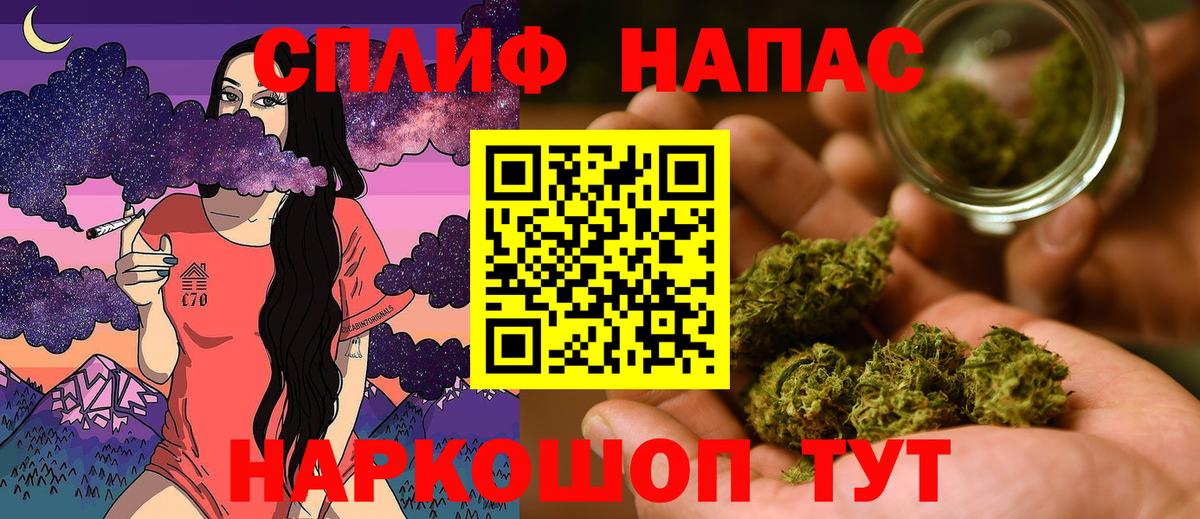 Конопля индика  Конопля ГИДРОПОН  Тара  Канабис Amnesia  Вход с VPN 